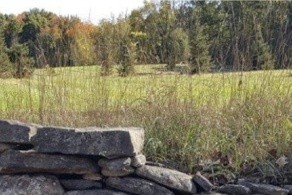 Picturesque shot of tall grasses against a historic brick wall near Littleton, Massachusetts (MA)