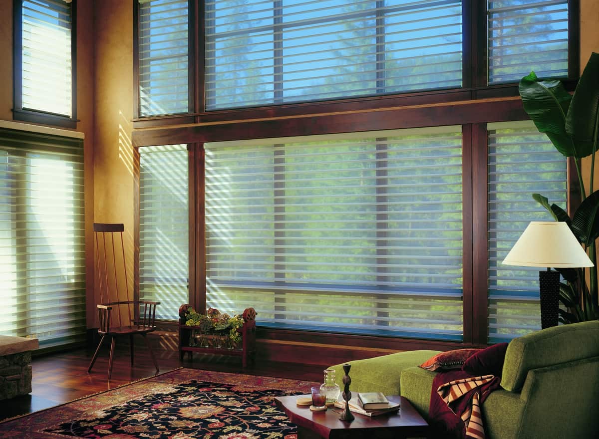 Hunter Douglas Silhouette® Window Shadings – Concord, Massachusetts (MA) why you need motorized window sheers